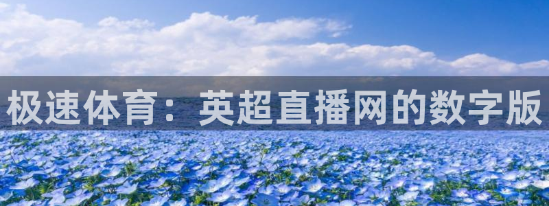 熊猫户外直播：极速体育：英超直播网的数字版