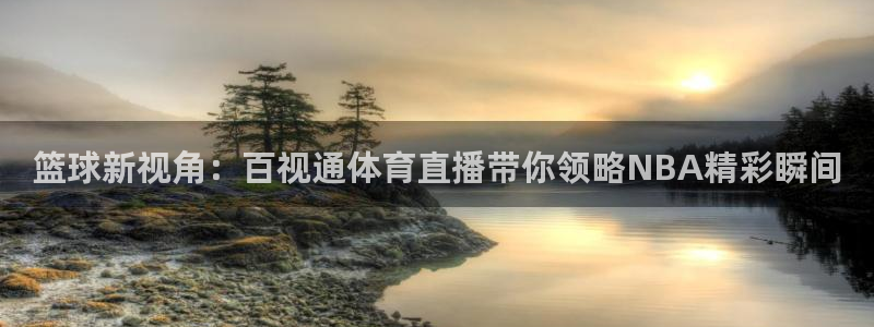 下载熊猫体育直播：篮球新视角：百视通体育直播带你领略NBA精彩瞬间