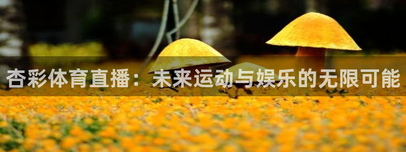 关于熊猫的：杏彩体育直播：未来运动与娱乐的无限可能