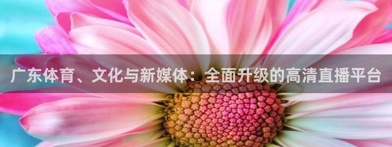熊猫体育直播