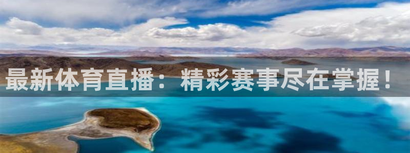 熊猫猫直播